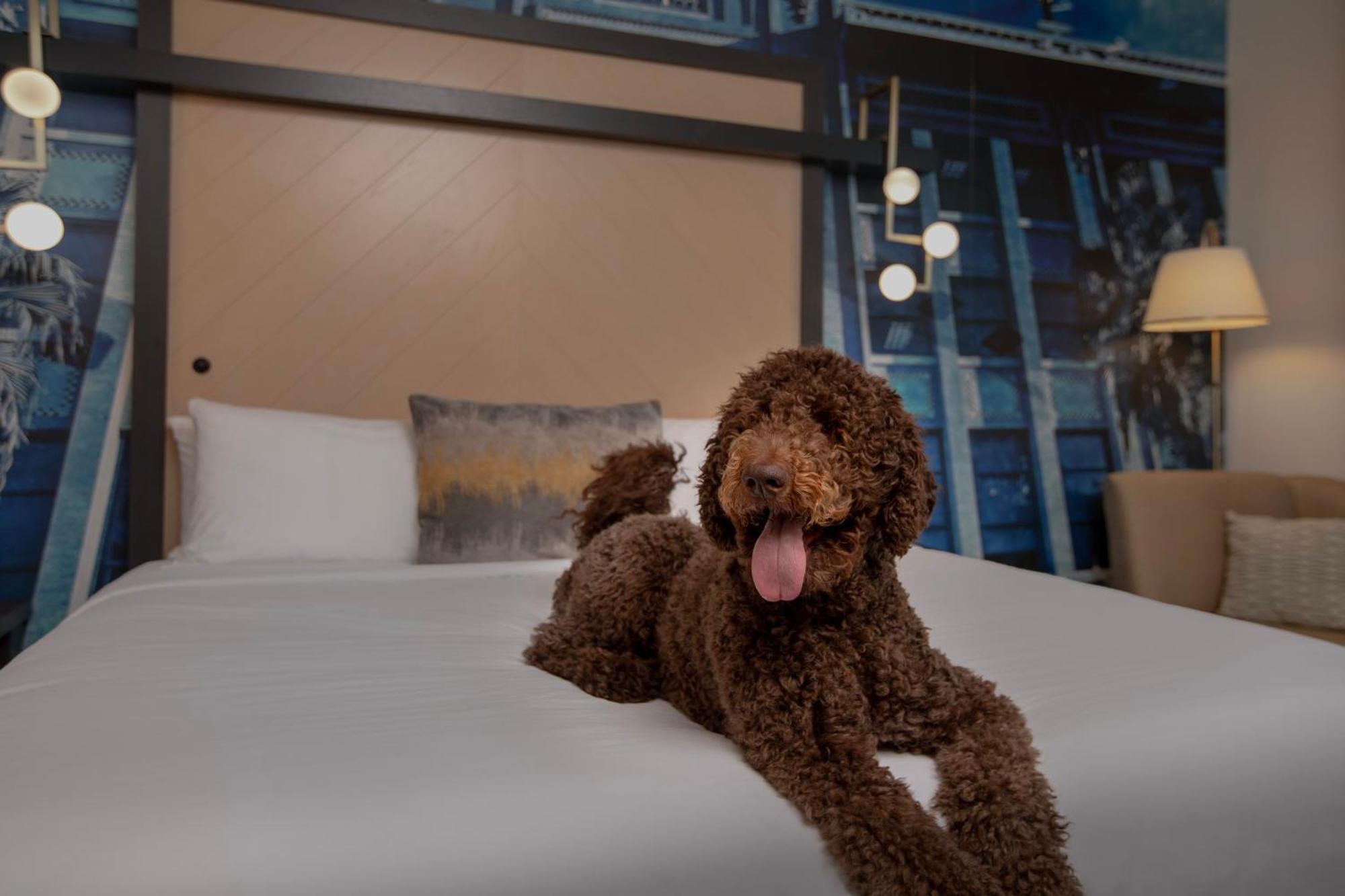 Hotel Indigo Jacksonville-Deerwood Park By Ihg Exteriör bild